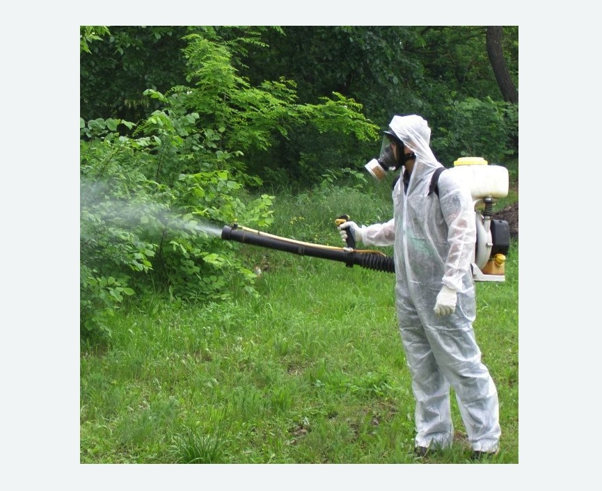 обработка территории от клещей в Демихово