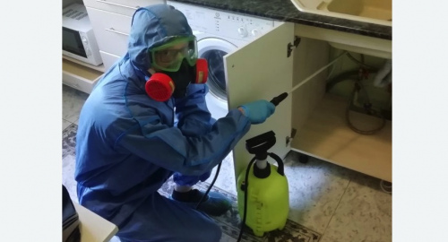 Уничтожение муравьев в квартире. Демихово