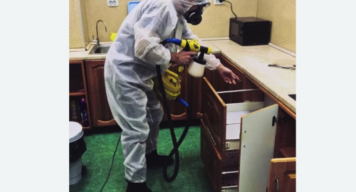 Уничтожение насекомых в квартире. Демихово