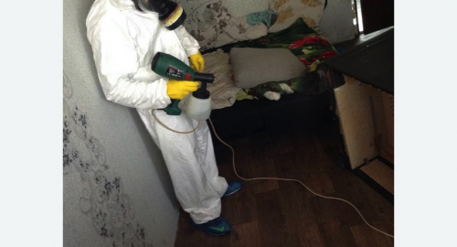 Дезинсекция помещения в Демихово