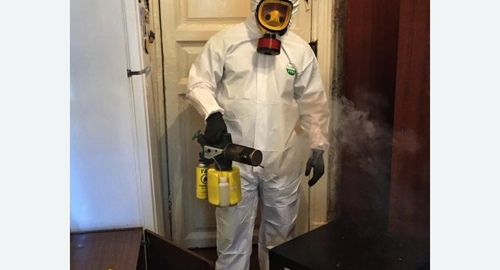 Дезинфекция от муравьев в квартире в Демихово