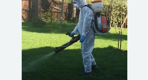 Обработка участка от клещей в Демихово