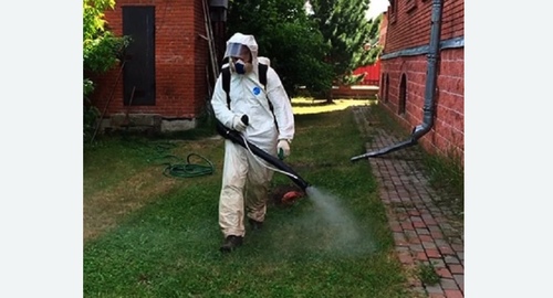 Обработка территории от клещей. Демихово