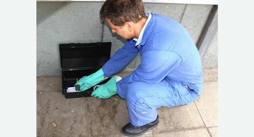 Уничтожение мышей. Демихово