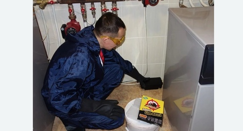 Дератизация крыс. Демихово