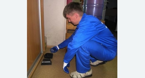 Обработка от крыс в Демихово