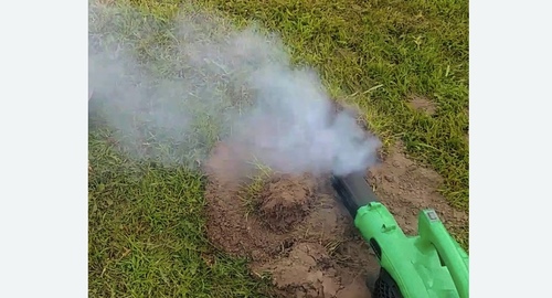 Обработка от кротов в Демихово