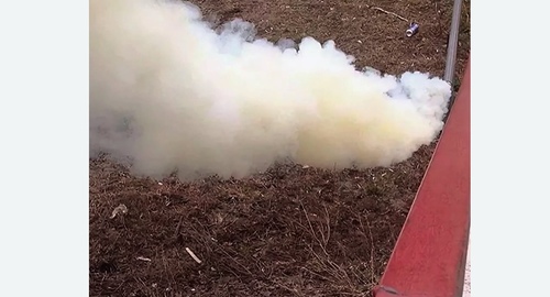 Уничтожение кротов на участке в Демихово