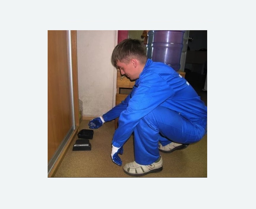 Дератизация крыс в Демихово