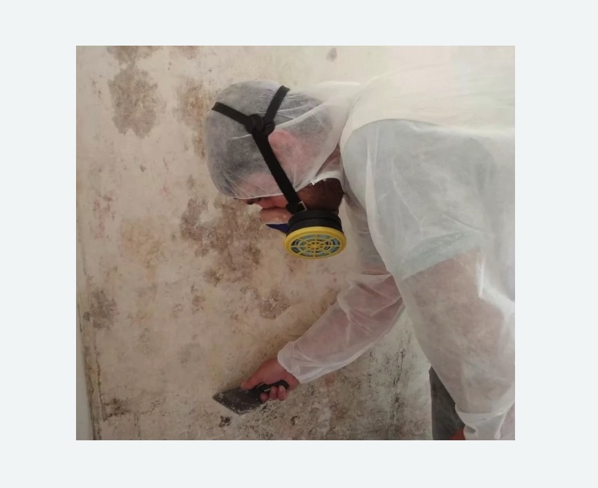 Обработка стен от плесени в Демихово