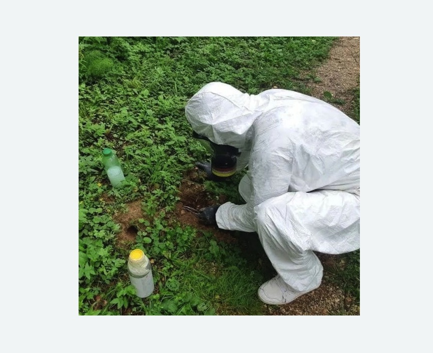 уничтожение кротов на участке в Демихово