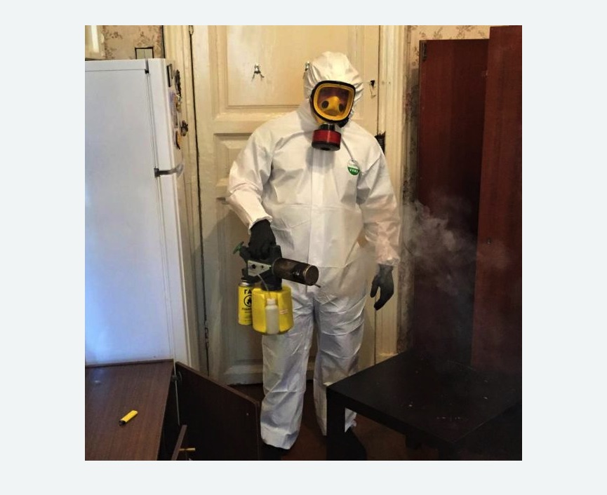 уничтожение муравьев в квартире в Демихово